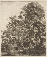 TvB G 3430
<br/>
Een smalle brug over een riviertje
<br/>
<em>Waterloo, Anthonie, (1609-1690)</em>